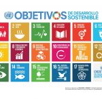 ¿Cuáles son los Objetivos de Desarrollo Sostenible?