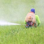 Los pesticidas y su impacto sobre nuestros alimentos