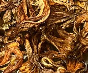 ¿Sabías que existe la Jamaica Amarilla? Descubre su sabor, beneficios y potencial en México