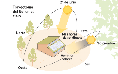El error de invierno que está matando tu huerto
