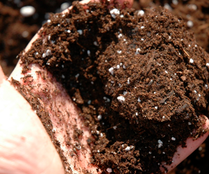 La Tierra en Tu Huerto: El Secreto de una Cosecha Saludable y Sostenible